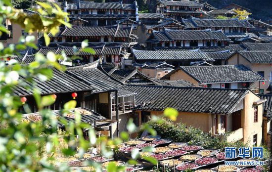 （美麗中國(guó)）（5）福建尤溪：詩意桂峰 曬秋人家