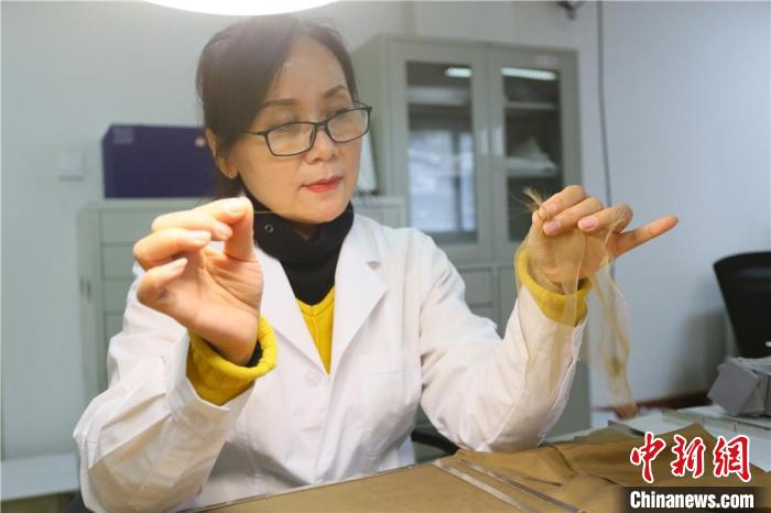 據(jù)趙喜梅介紹，修復(fù)文物紡織品所用的縐絲紗比頭發(fā)絲還細(xì)。　高展 攝