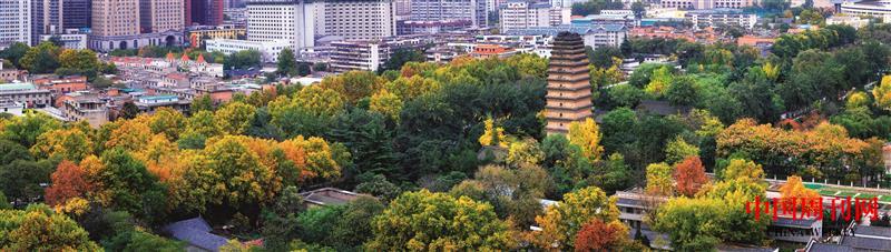 攝圖網_500723124_西安古城小雁塔秋色全景（企業(yè)商用）.jpg