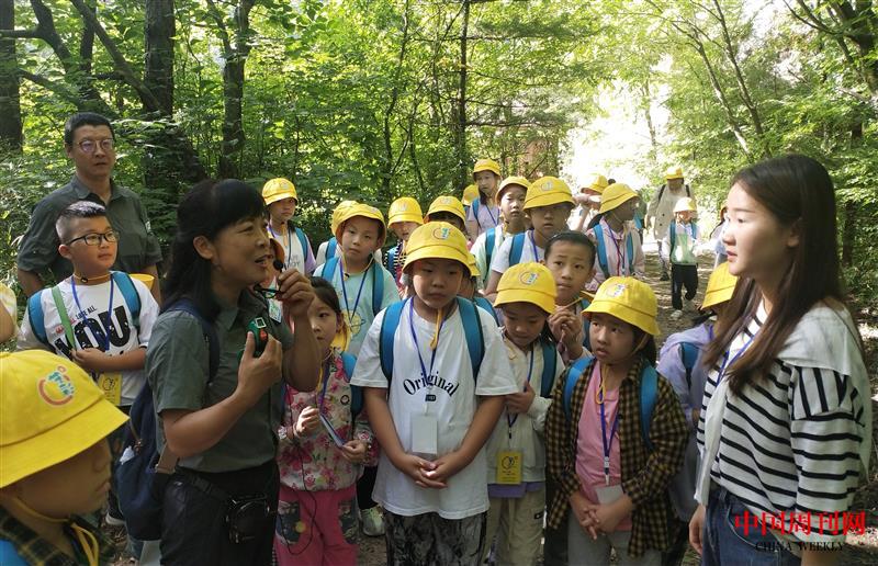 北溝自然體驗(yàn)基地開展自然讓教育活動馬宇拍攝.jpg