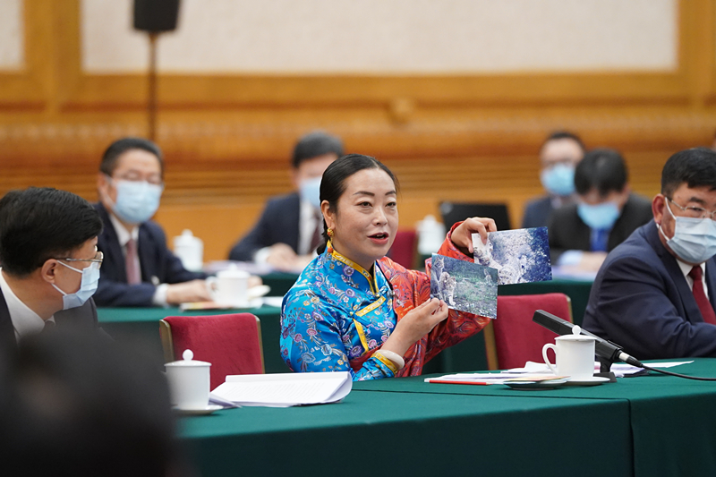 2021年3月7日，習近平總書記在參加十三屆全國人大四次會議青海代表團審議時，全國人大代表孔慶菊在會上展示了兩張照片，上面分別是祁連山地區(qū)多年不見蹤跡的雪豹和荒漠貓。