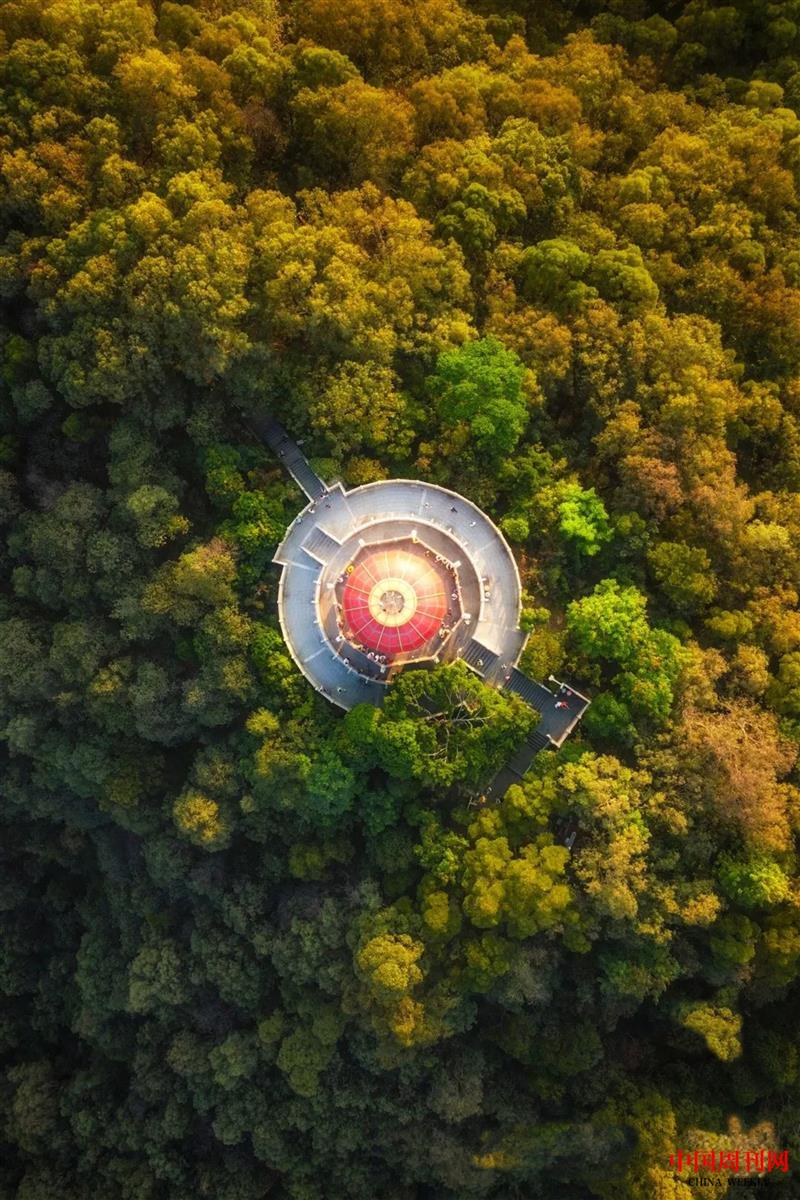 東莞黃旗山秋色鳥(niǎo)瞰.jpg
