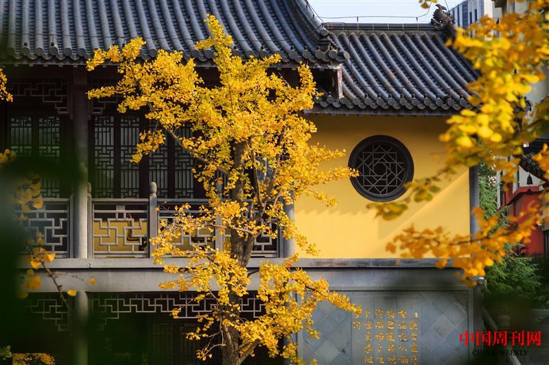 攝圖網_500744836_南京毗盧寺(企業(yè)商用).jpg
